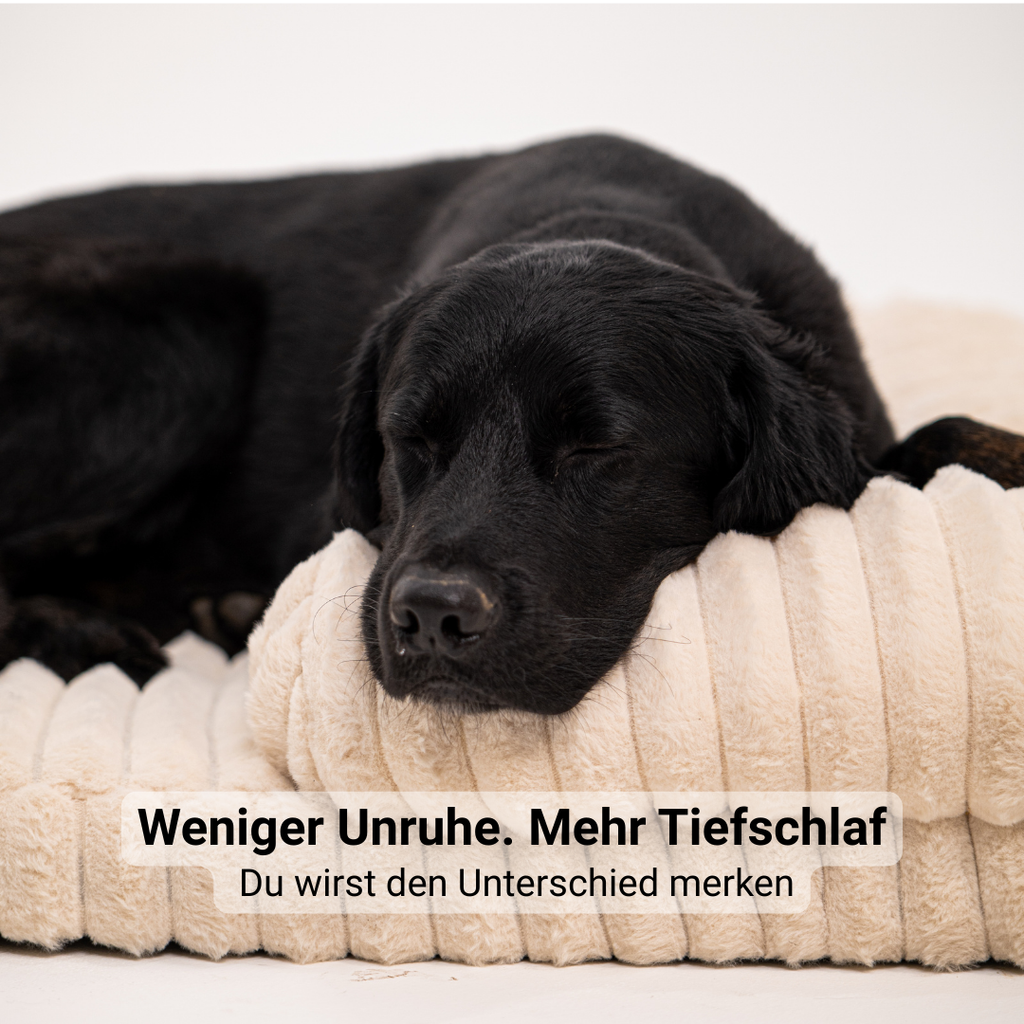 Lunero DeepSleep Orthopedic Dog Bed