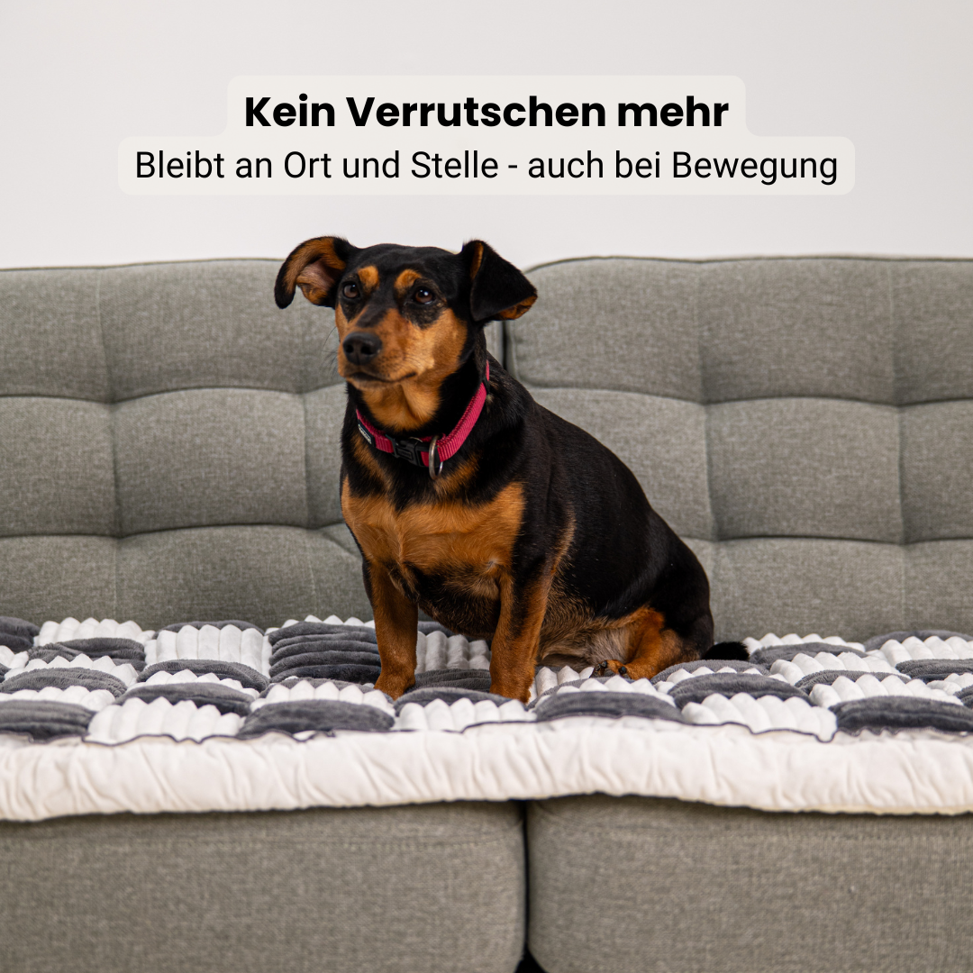Sofa Guard UltraSoft Checkered