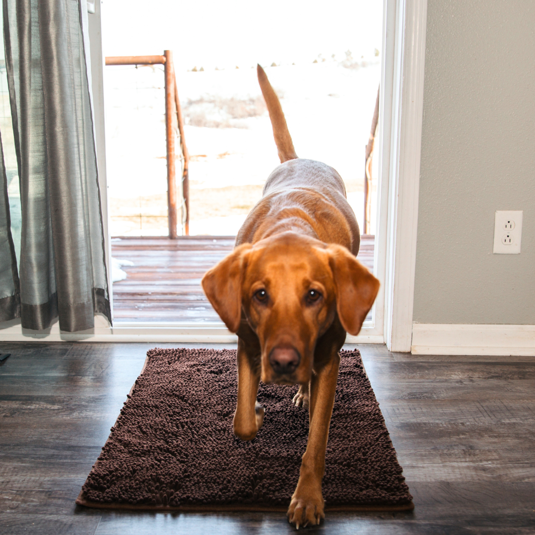 Premium CleanyMat Drying Mat
