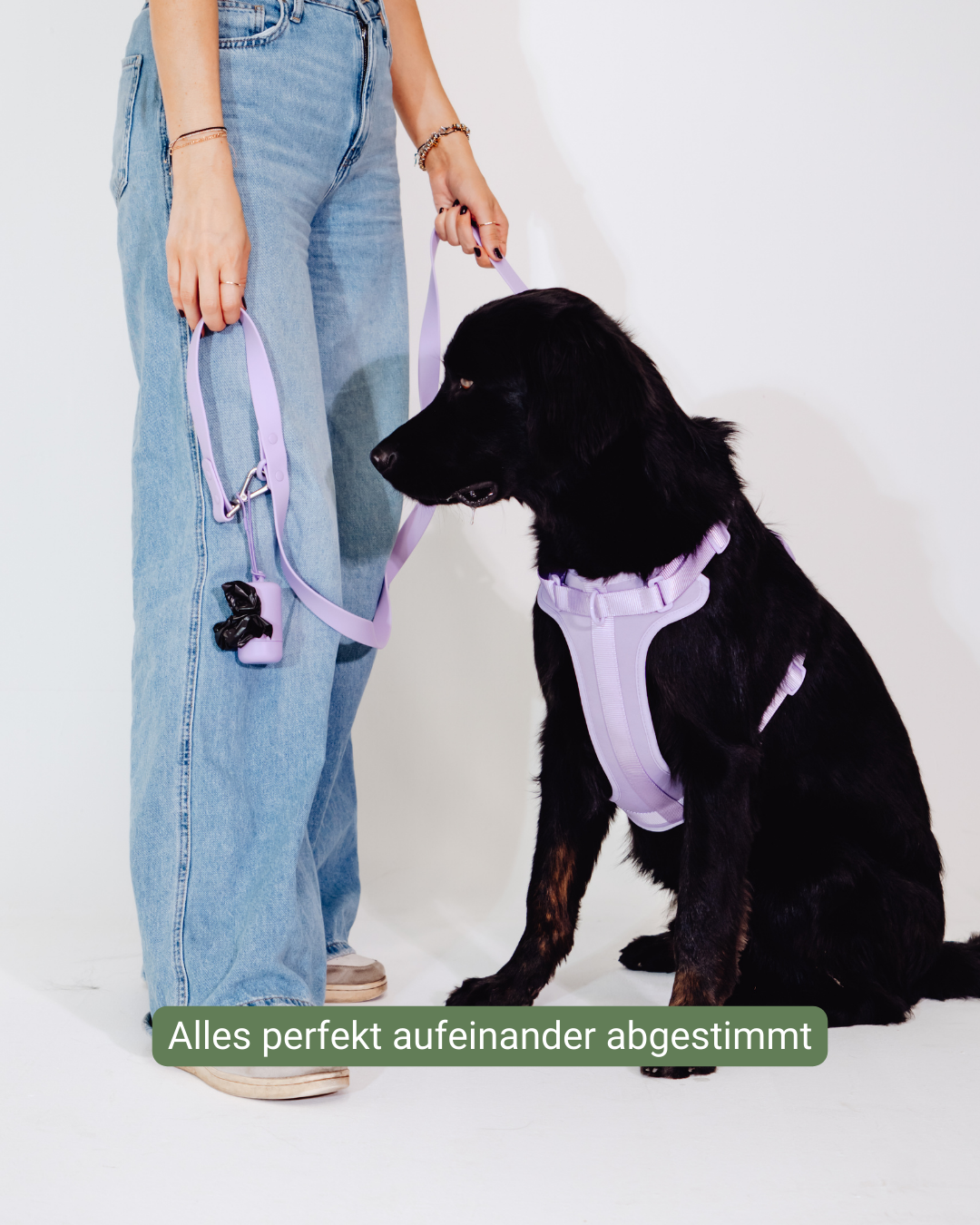 Lavendeltraum Velvy Harness Set