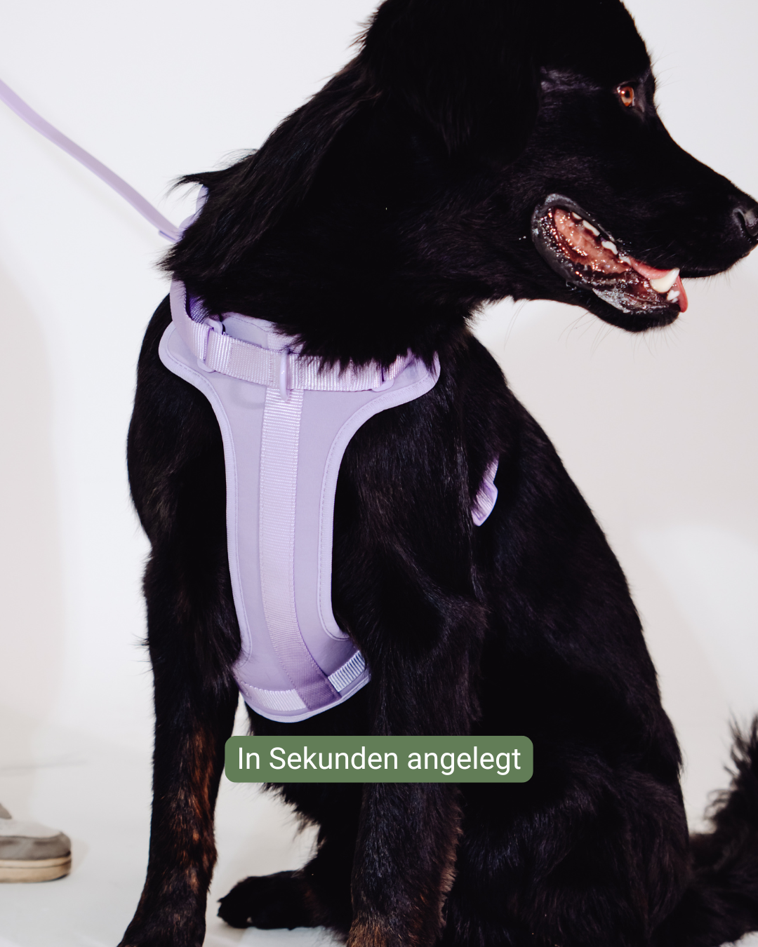Lavendeltraum Velvy Harness Set