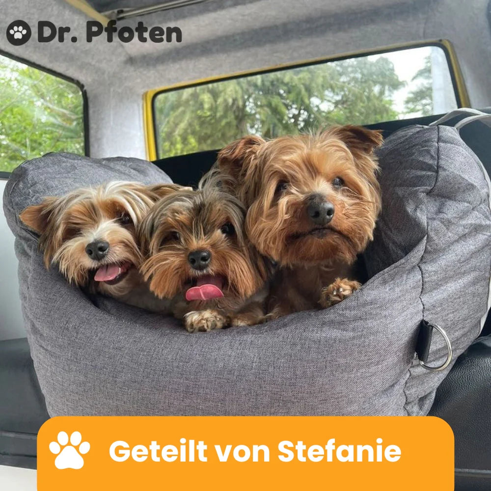 ErsteKlasse Premium Dog Car Seat