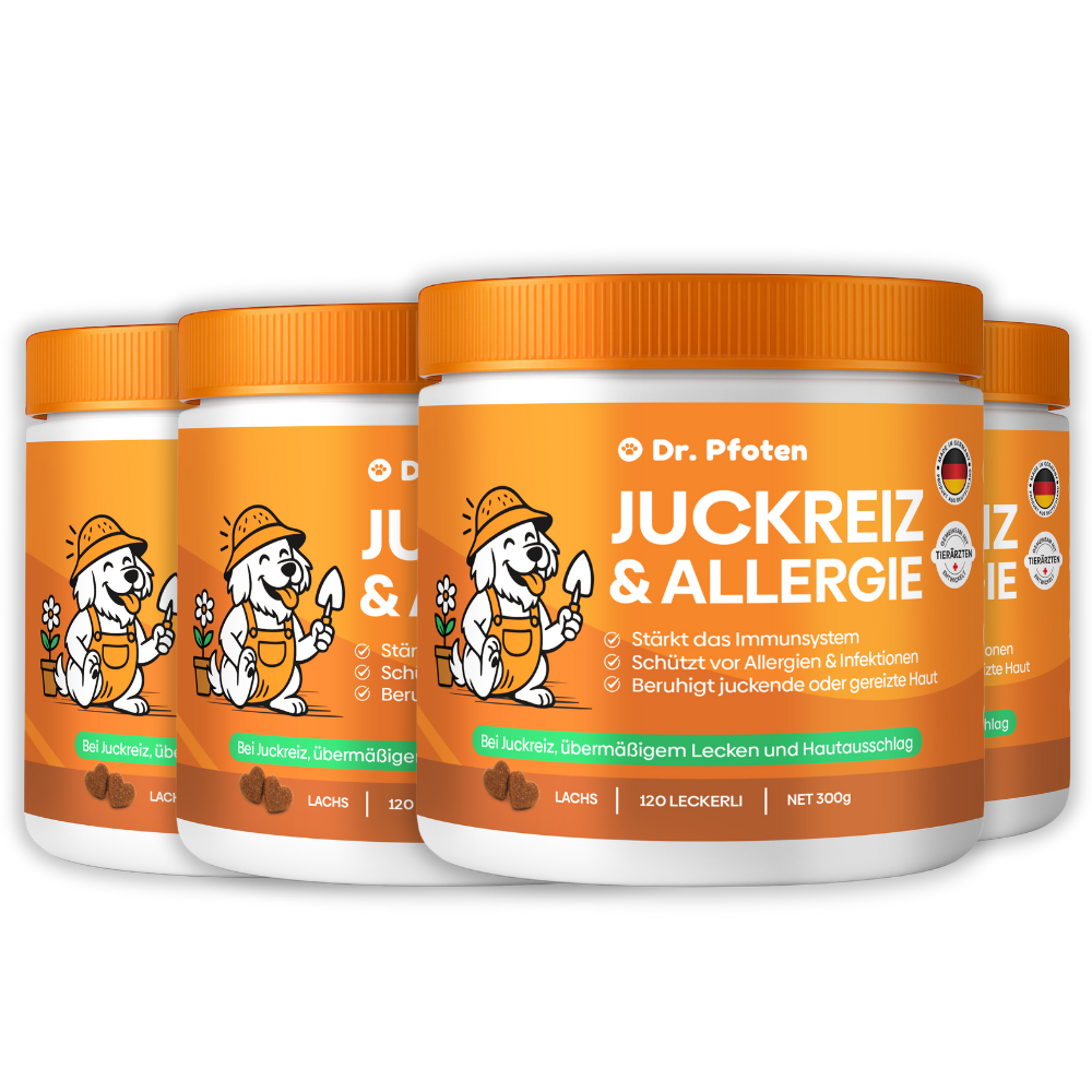 Itch & Allergy Soft Chews