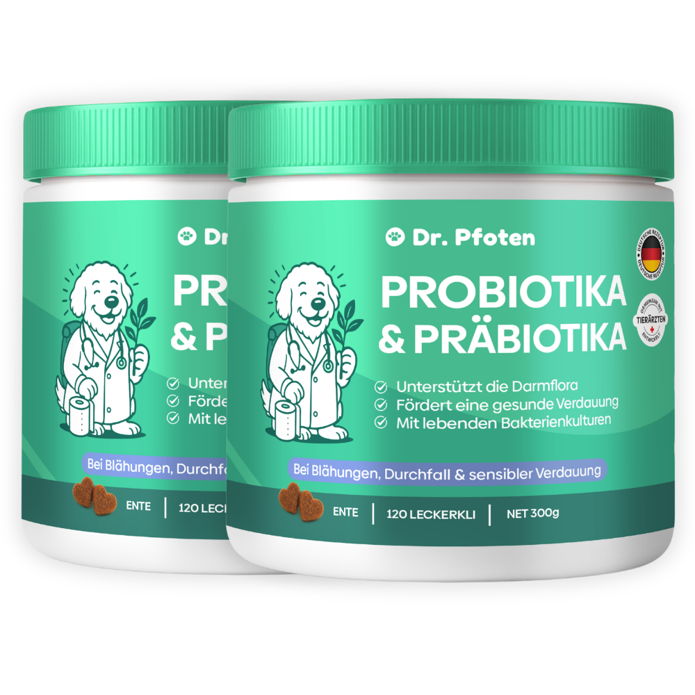 Probiotic & Prebiotic Soft Chews