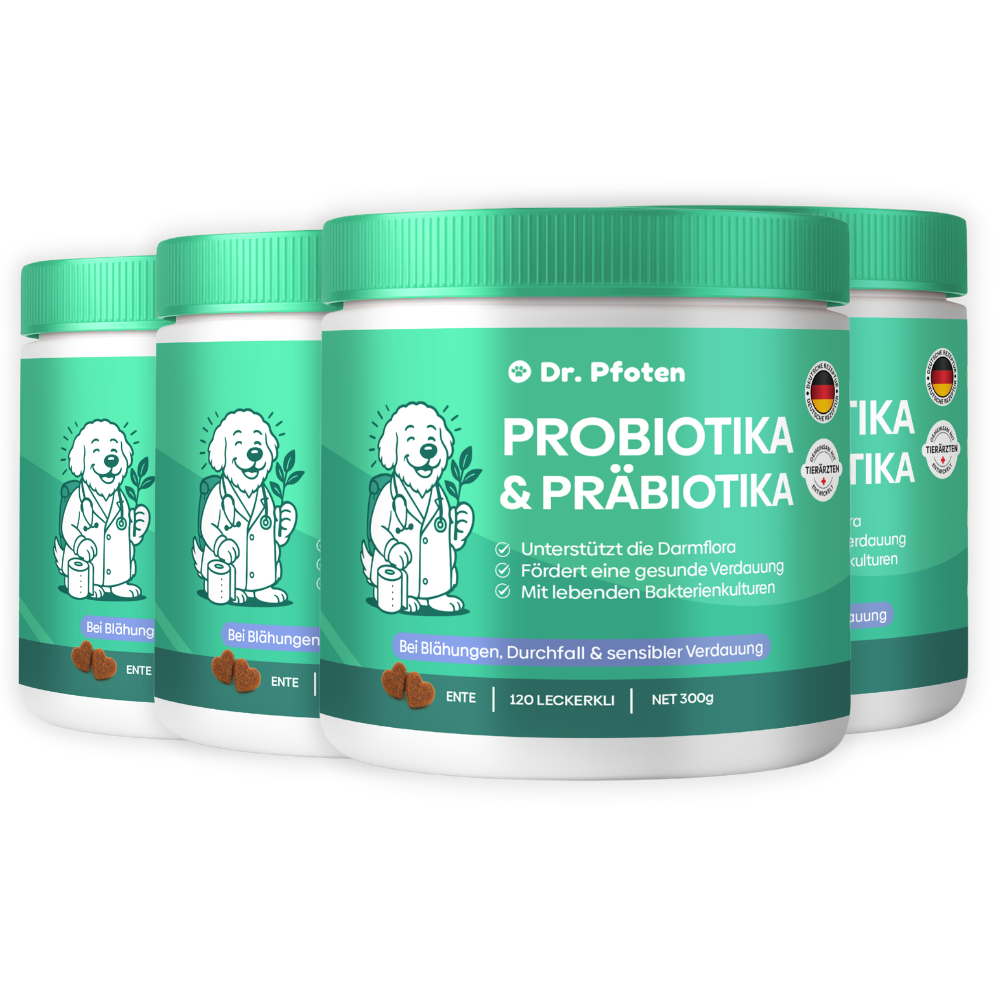 Probiotic & Prebiotic Soft Chews