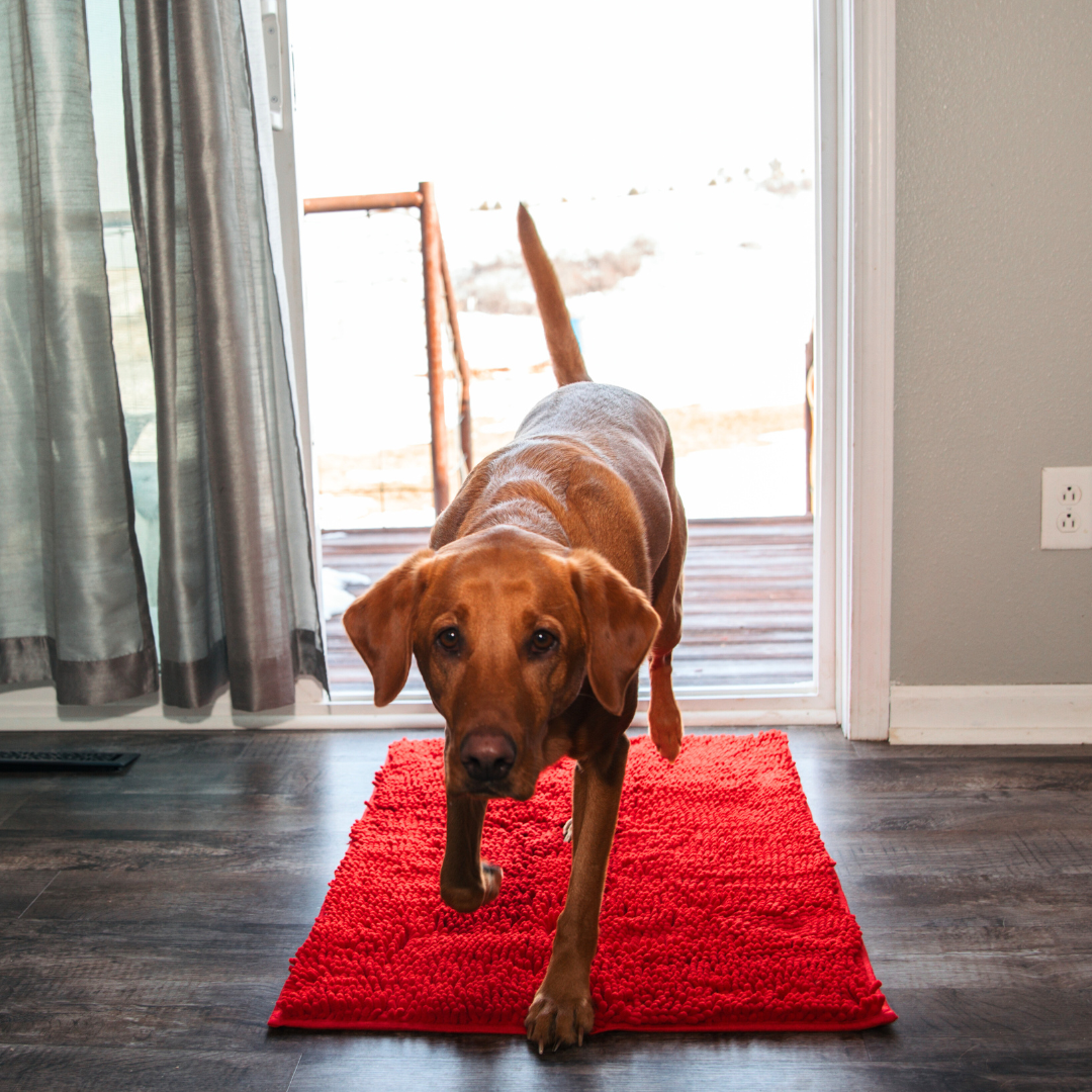 Premium CleanyMat Drying Mat