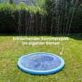Furvana Dog Pool with Fountain