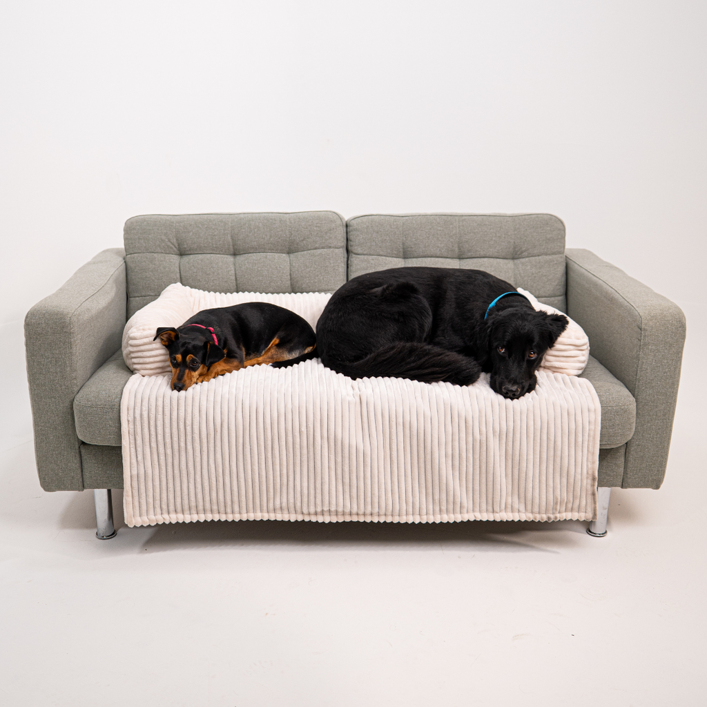 Cloufy Shield Dog Sofa Cover