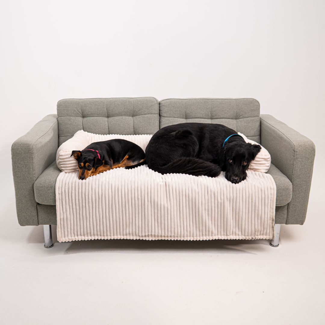 Cloufy Shield Dog Sofa Cover
