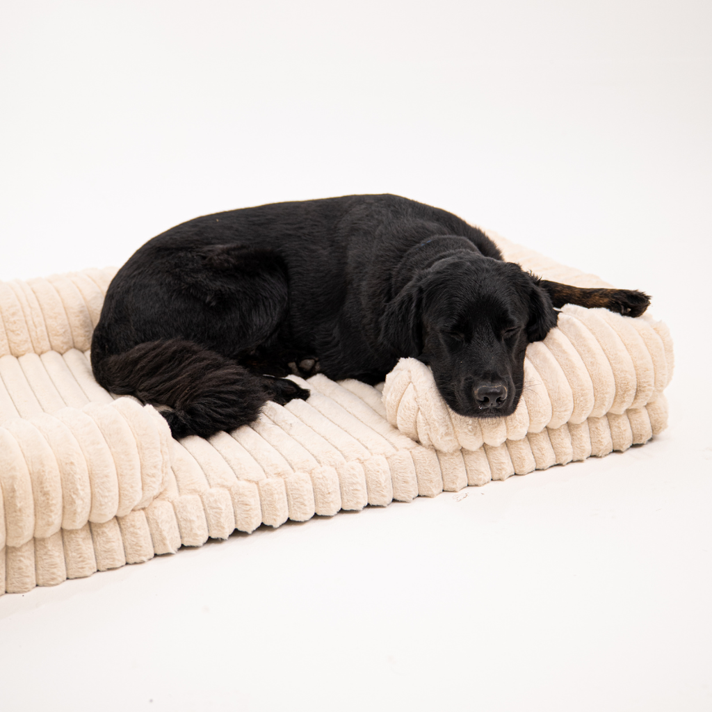 Lunero DeepSleep Orthopedic Dog Bed