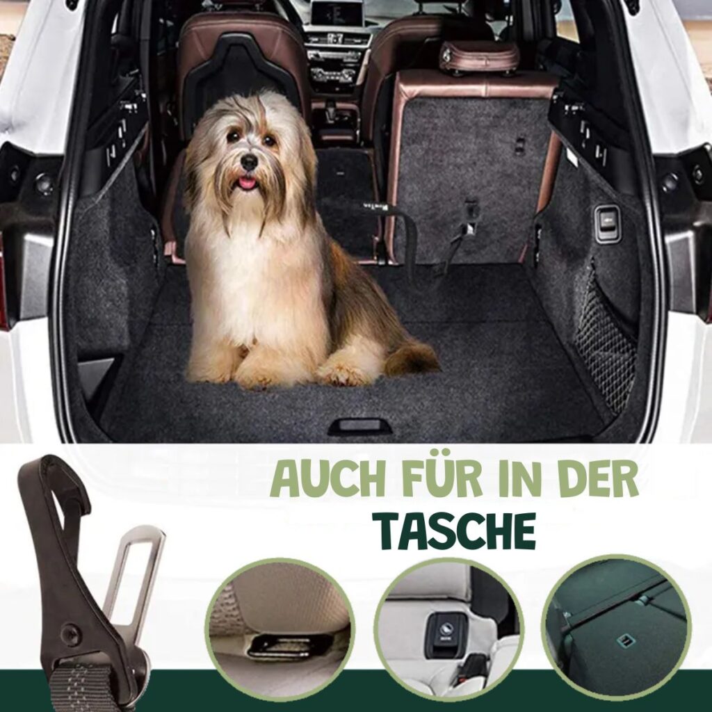 Premium 3-in-1 Dog Car Seat Belt