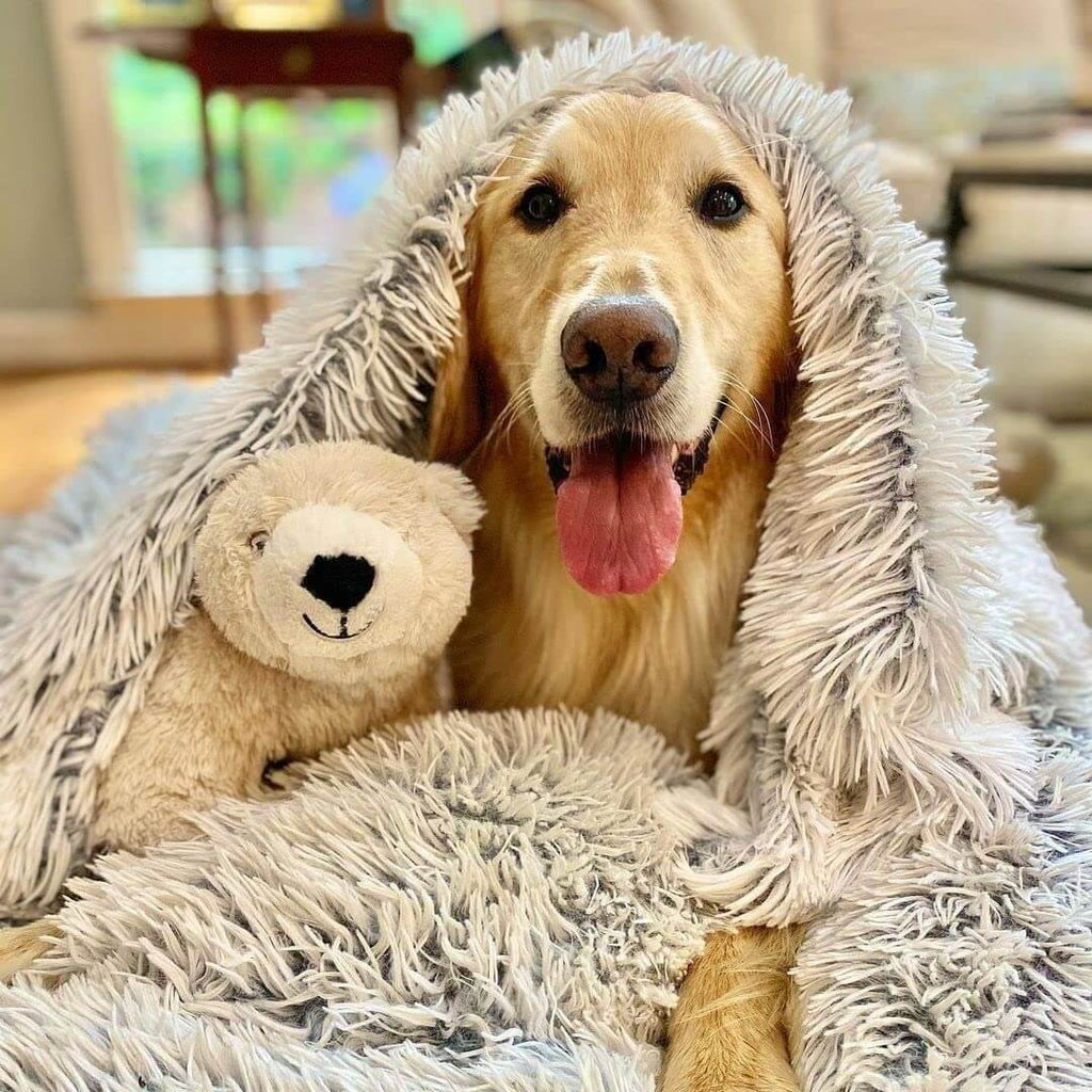 Calming Pet Blanket
