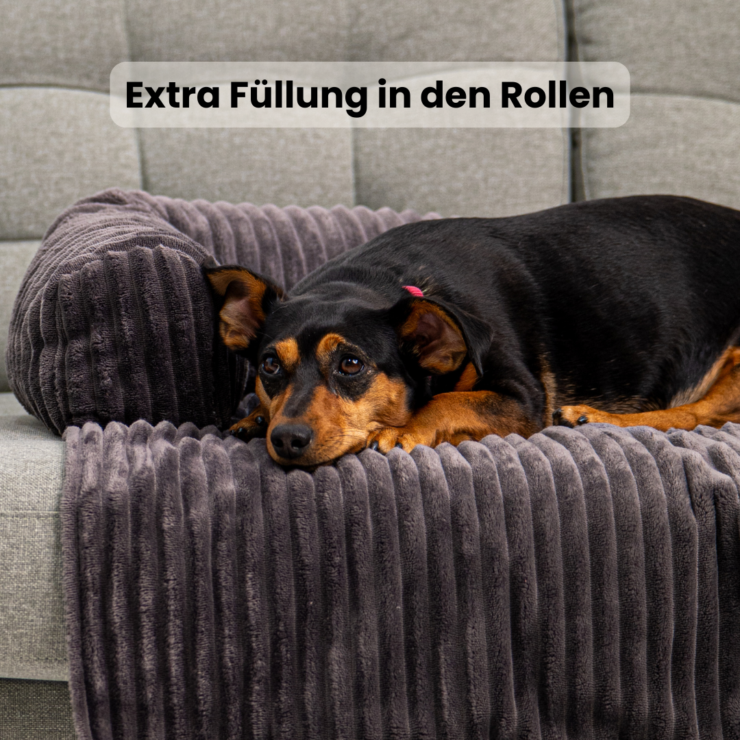 Cloufy Shield Dog Sofa Cover