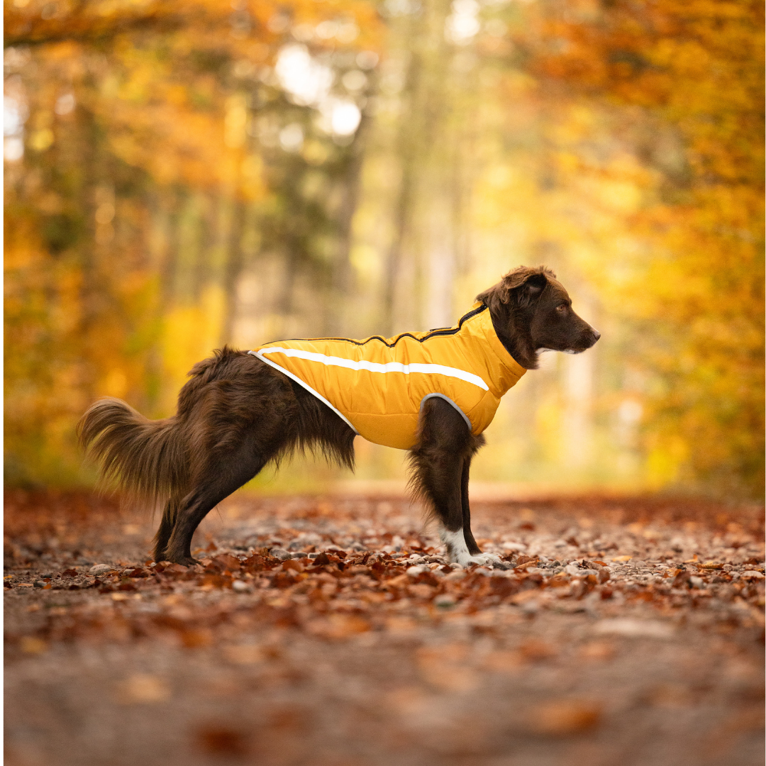 Active+ Thermo Fleece Dog Coat