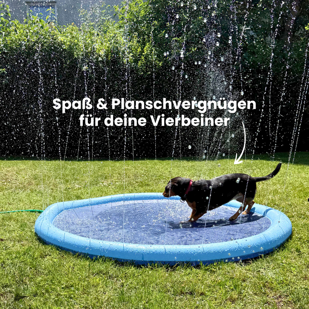 Furvana Dog Pool with Fountain