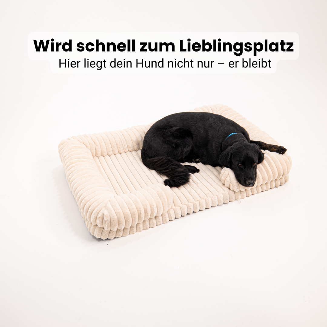 Lunero DeepSleep Orthopedic Dog Bed