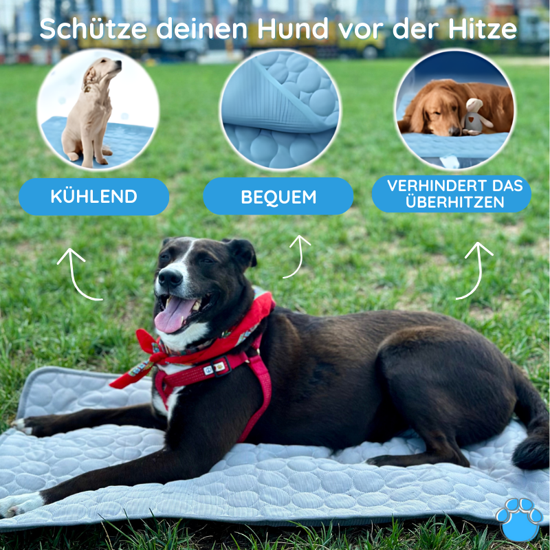Dog Cooling Mat