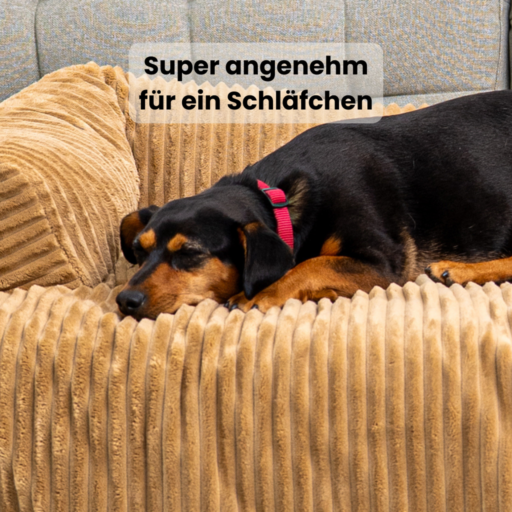 Cloufy Shield Dog Sofa Cover