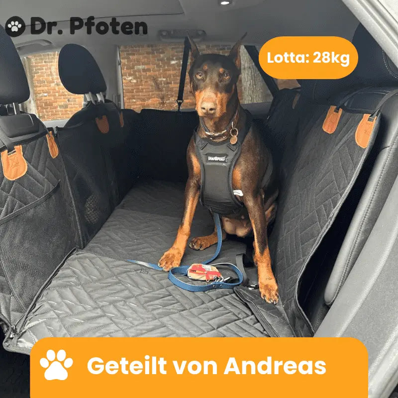 PfotenSchutz Dog Car Seat Cover