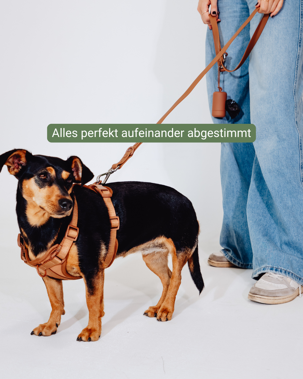Zimtpfote Velvy Harness Set