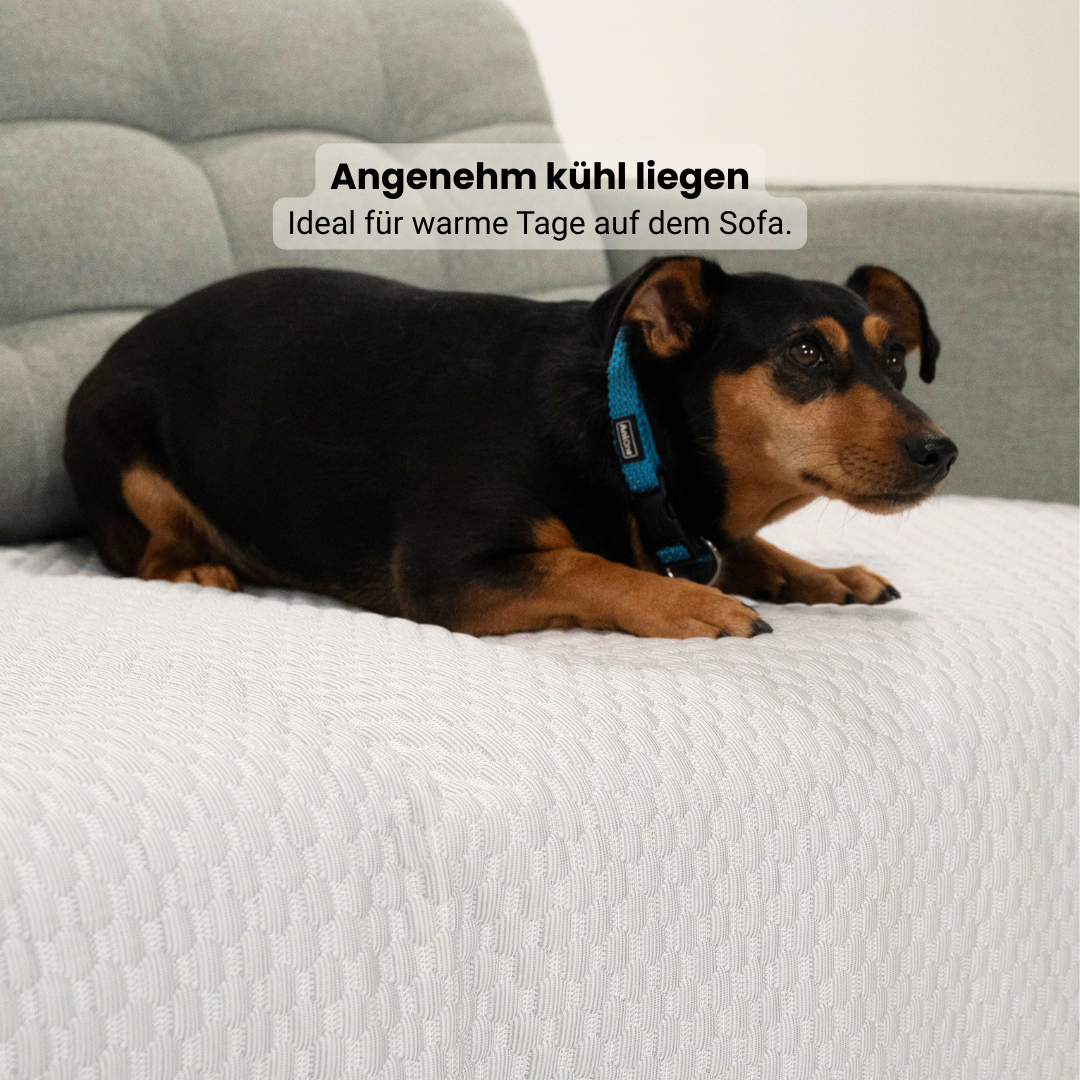 Sofa Guard Breeze Cooling Cover