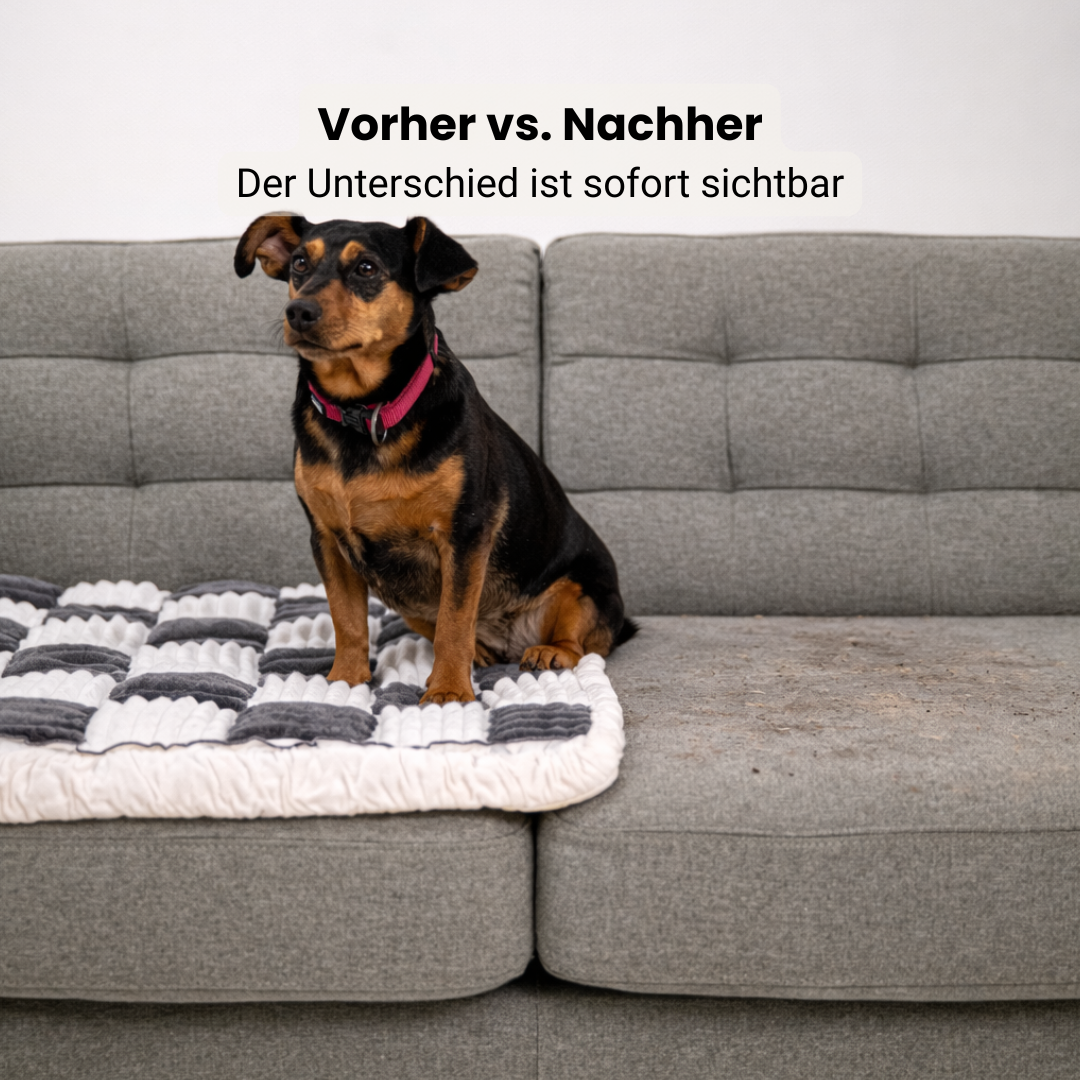 Sofa Guard UltraSoft Checkered