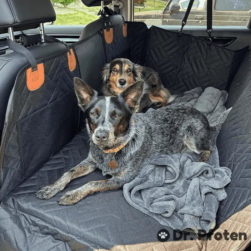 PfotenSchutz Dog Car Seat Cover
