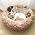 Anti-Anxiety Cat Bed