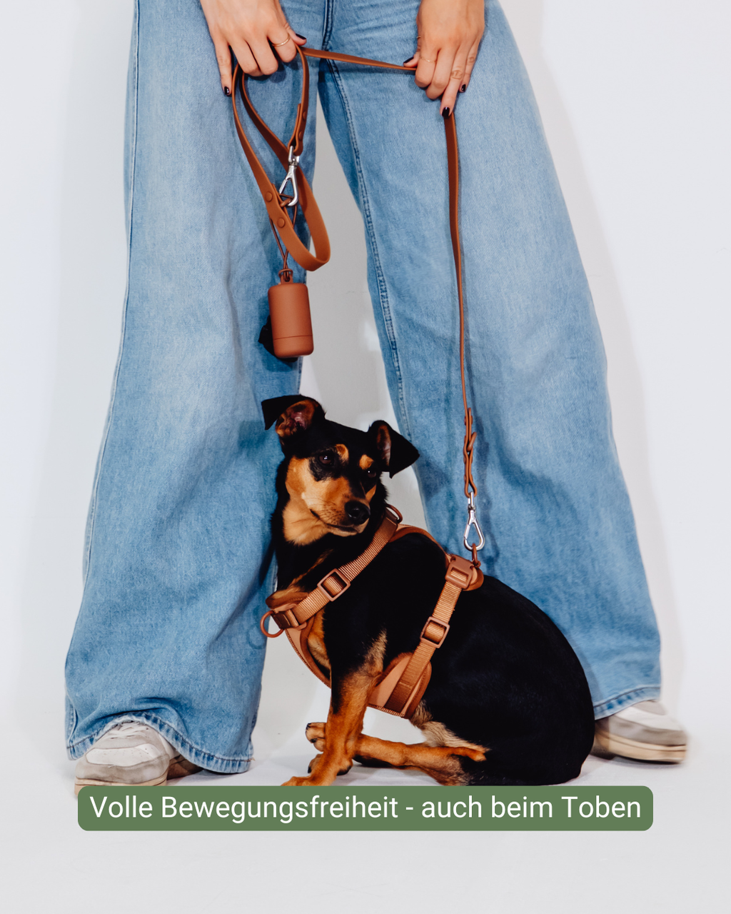 Zimtpfote Velvy Harness Set