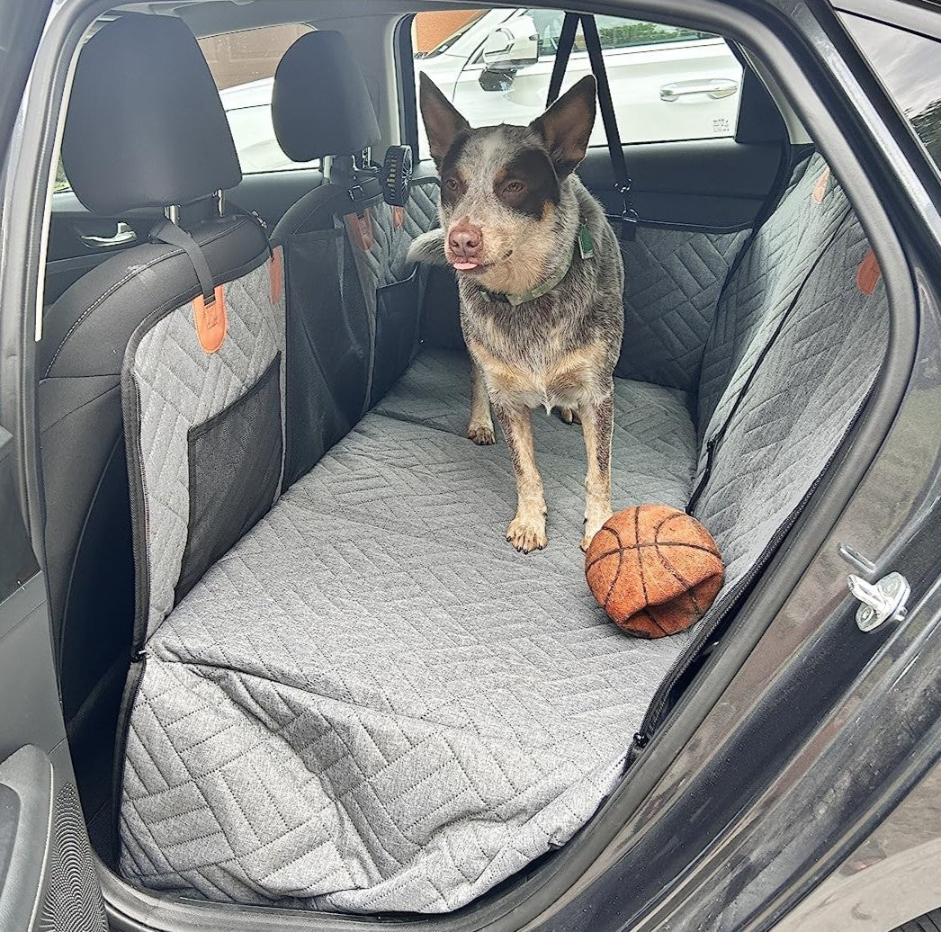 PfotenSchutz Dog Car Seat Cover