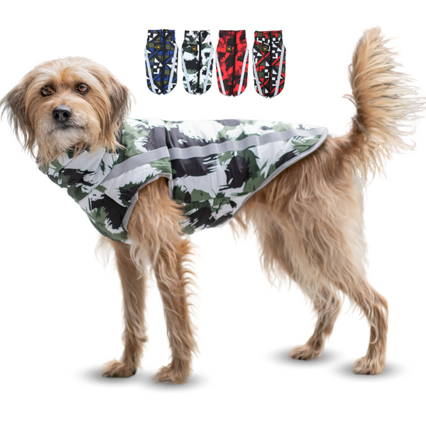 Active+ Thermo Dog Coat