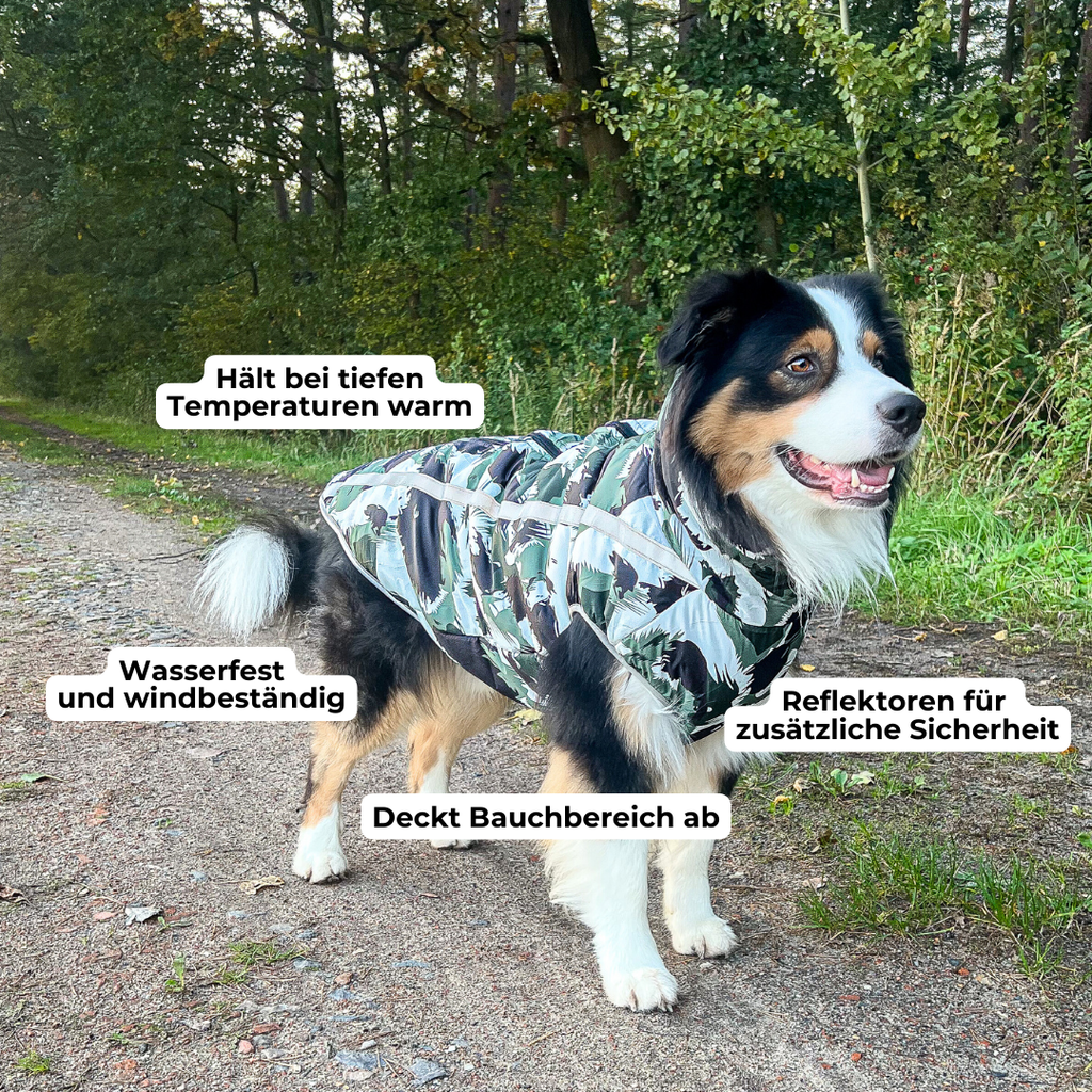 Active+ Thermo Dog Coat