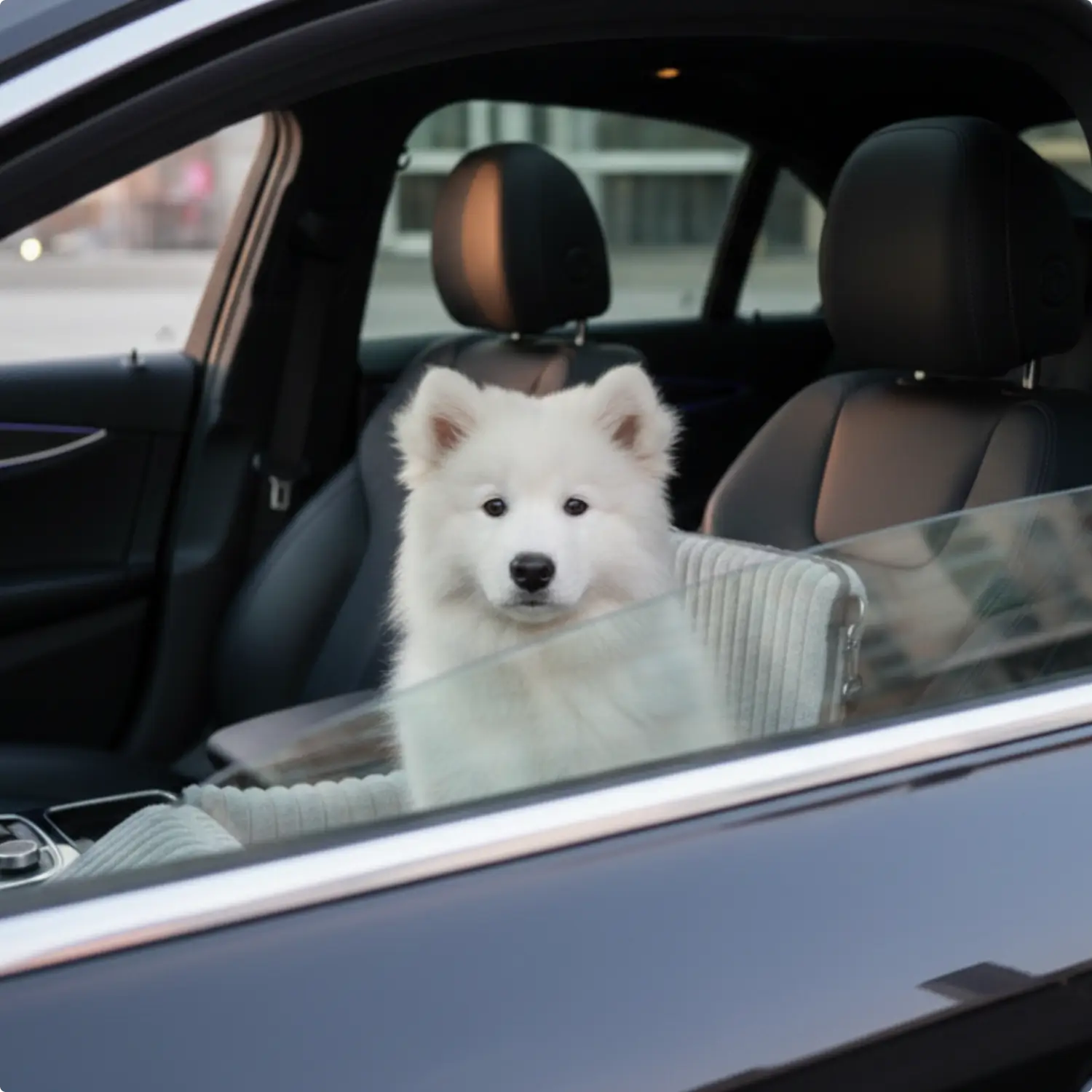 Elevated Dog Car Seat