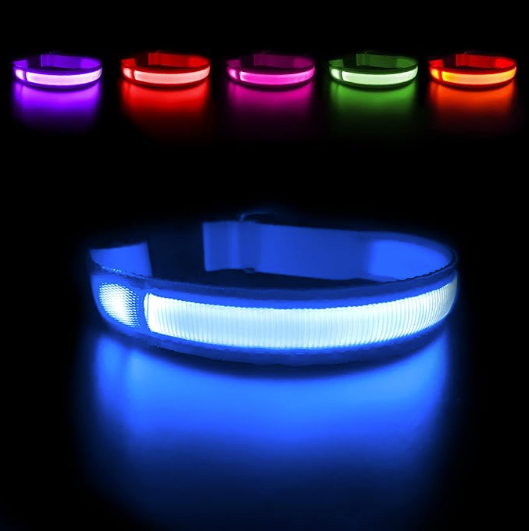LED Dog Collar