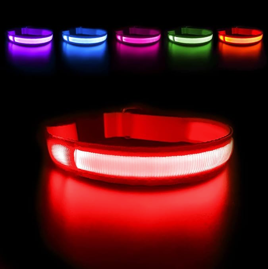 LED Dog Collar