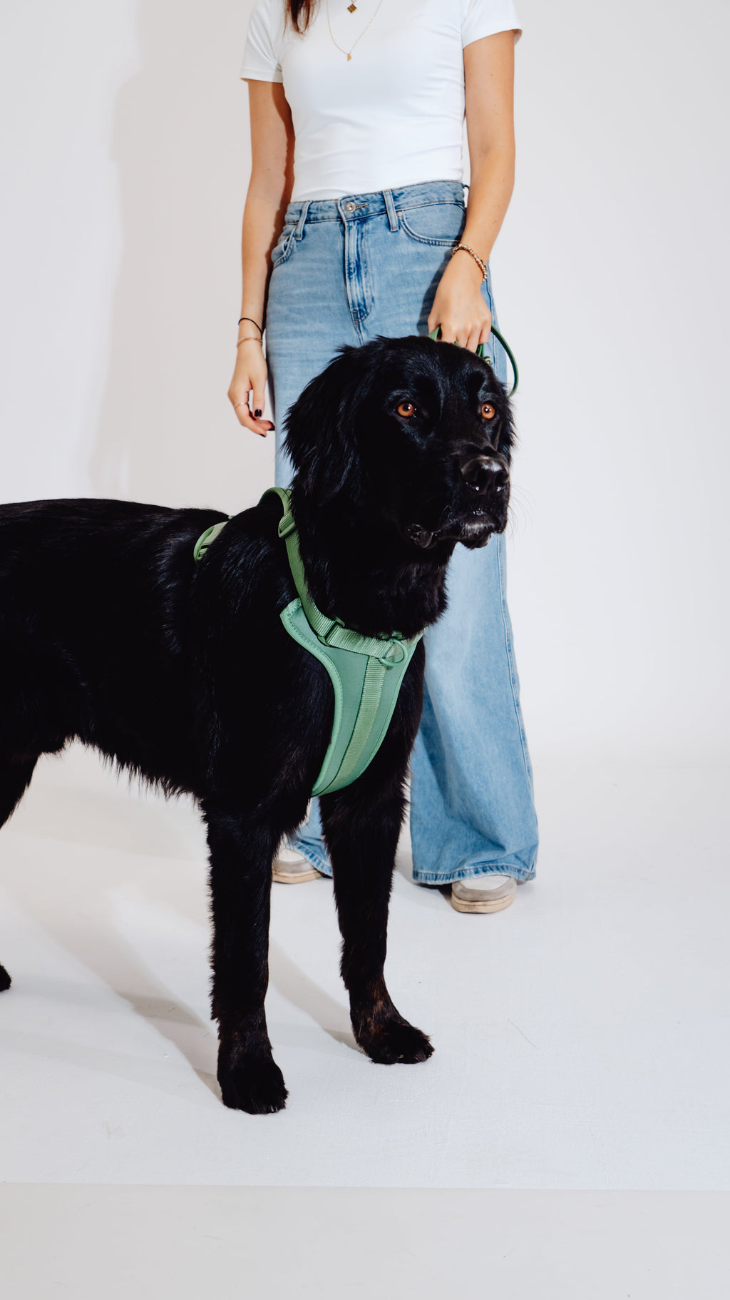 Waldpfote Velvy Dog Harness