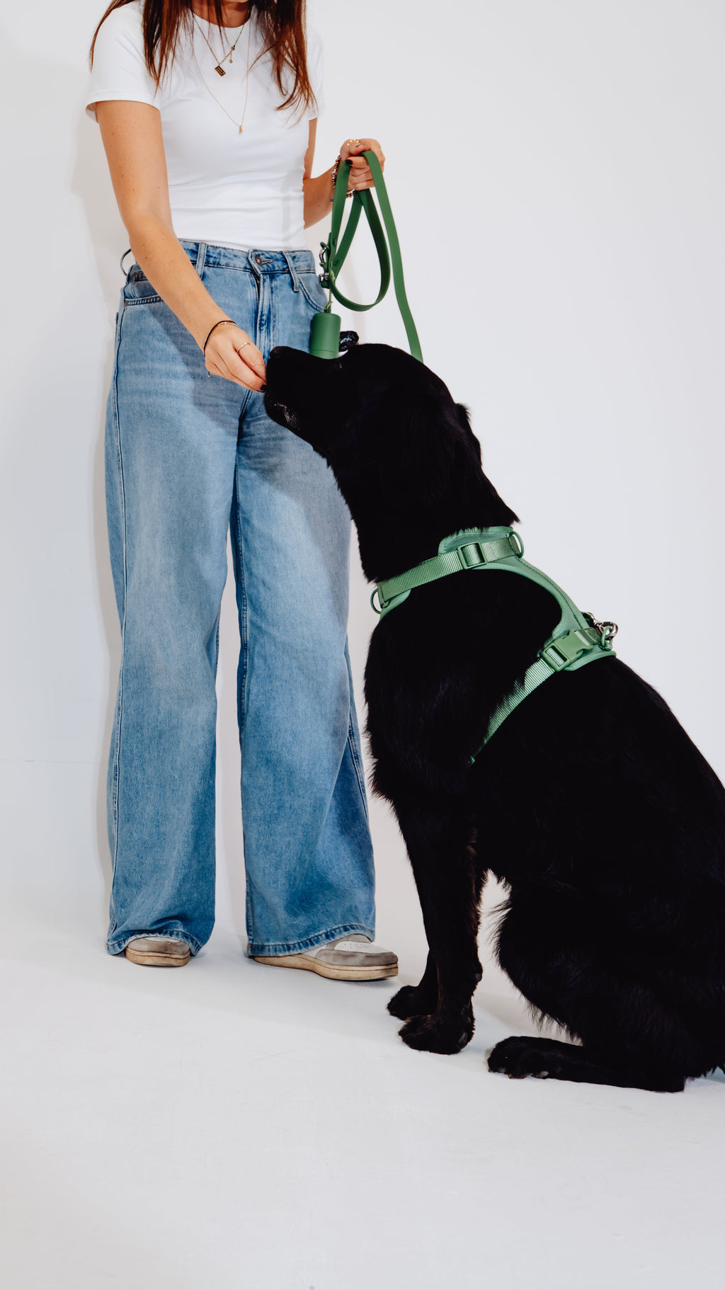 Waldpfote Velvy Dog Harness