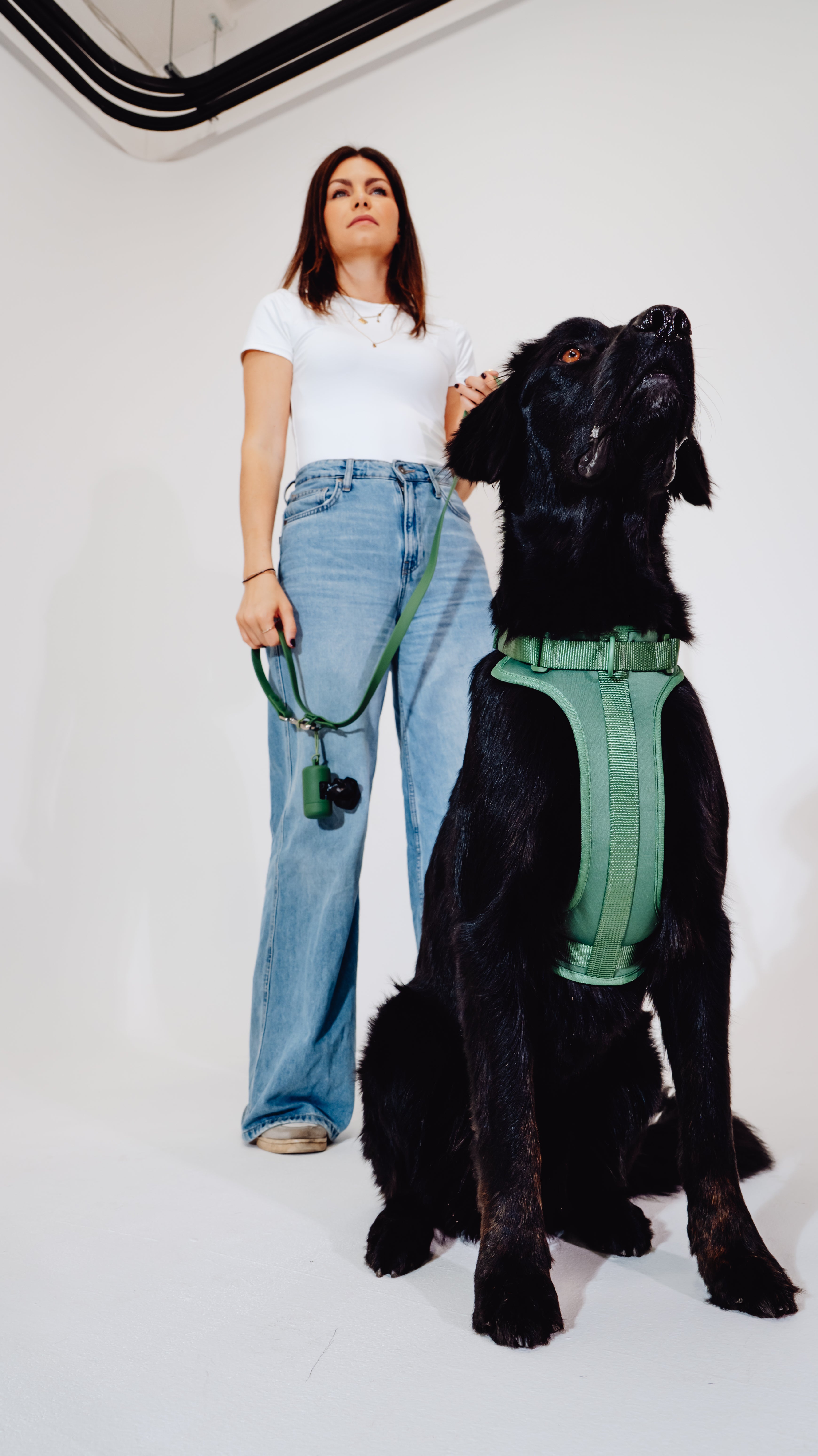 Waldpfote Velvy Dog Harness