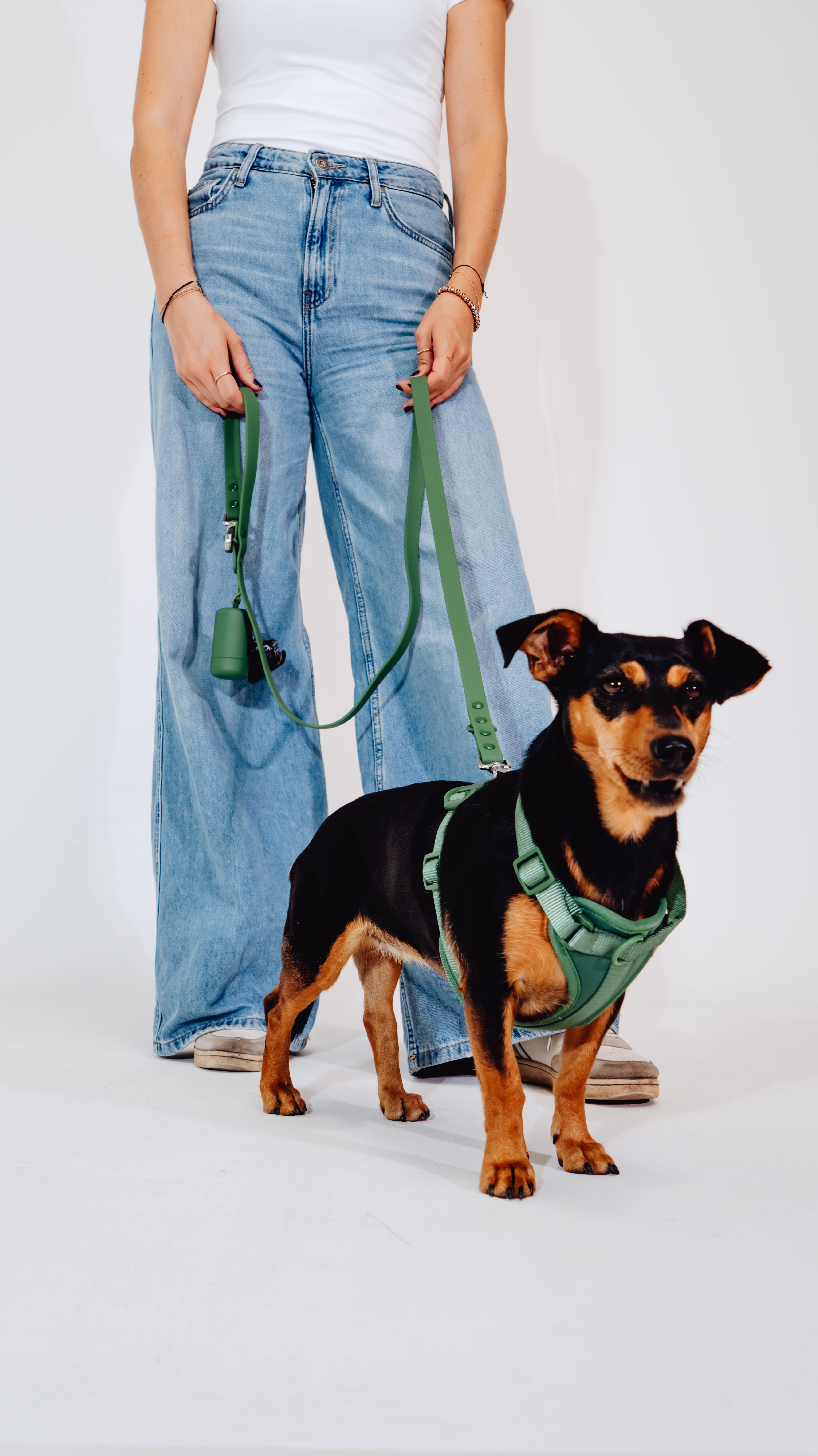 Waldpfote Velvy Dog Harness