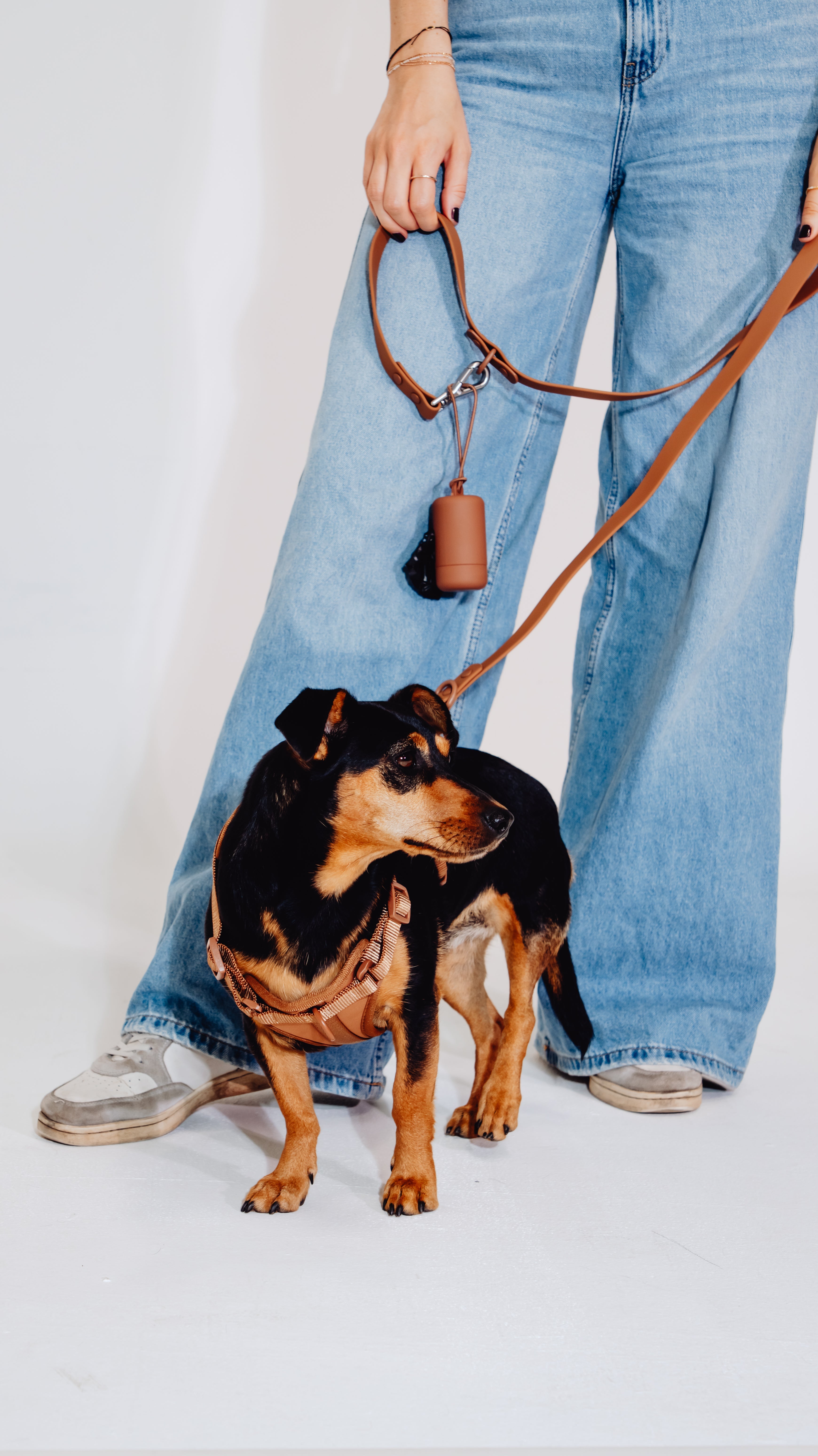 Zimtpfote Velvy Dog Harness