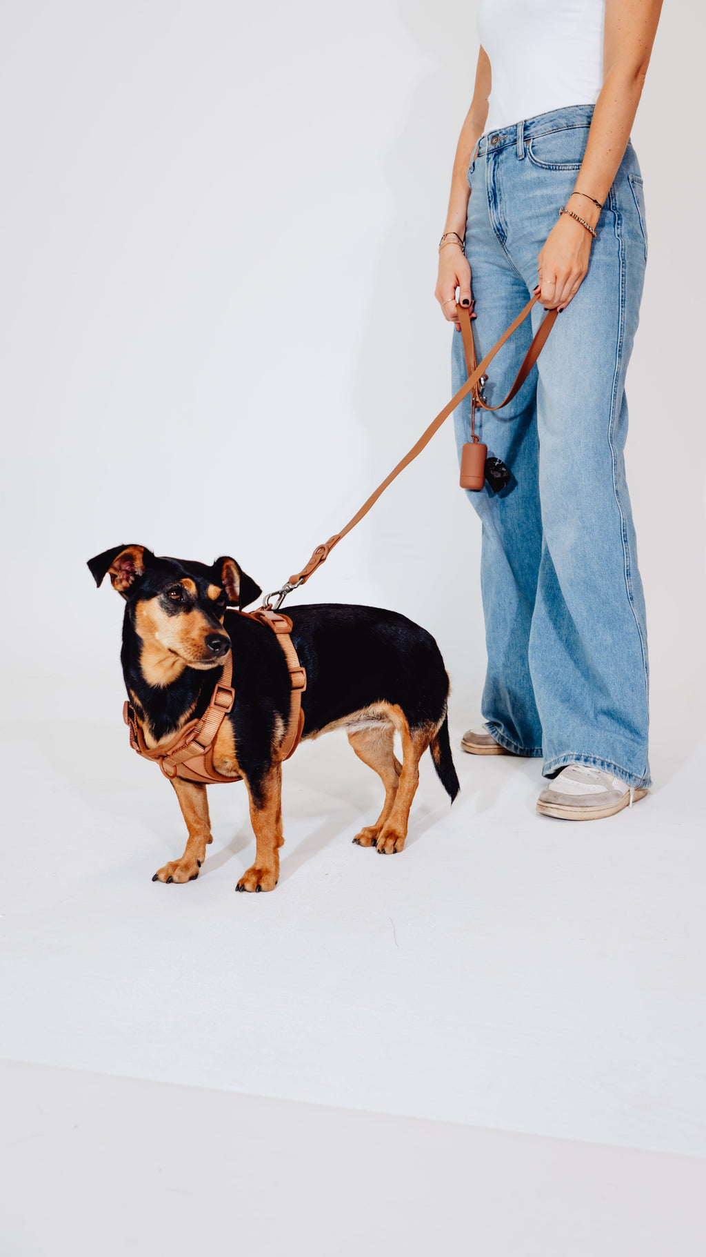 Zimtpfote Velvy Dog Harness