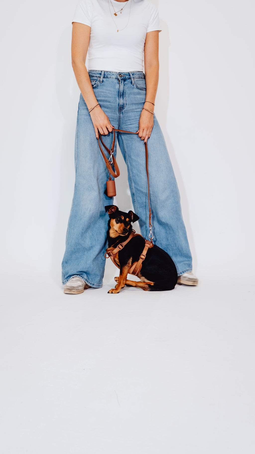 Zimtpfote Velvy Dog Harness