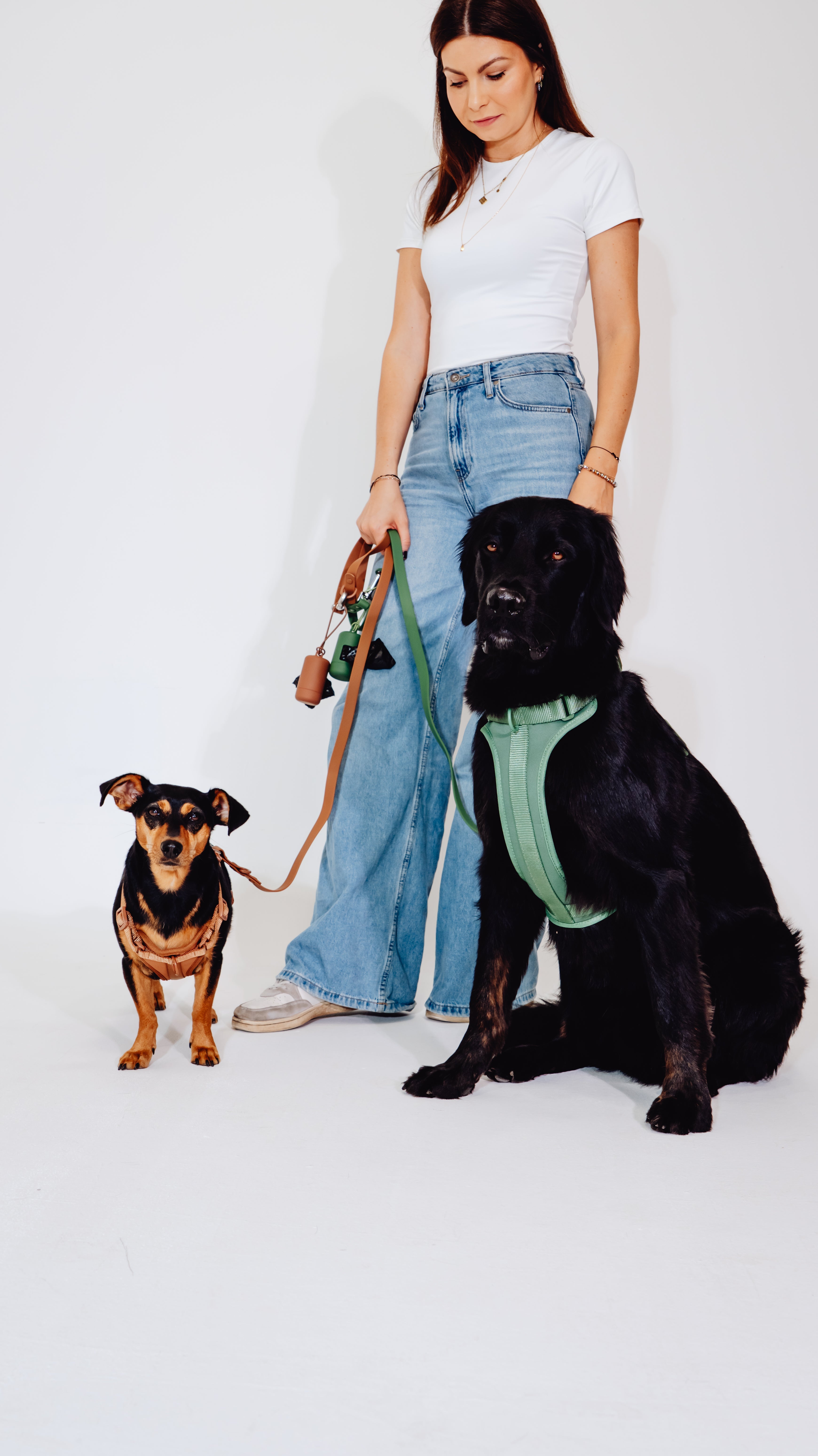 Zimtpfote Velvy Dog Harness