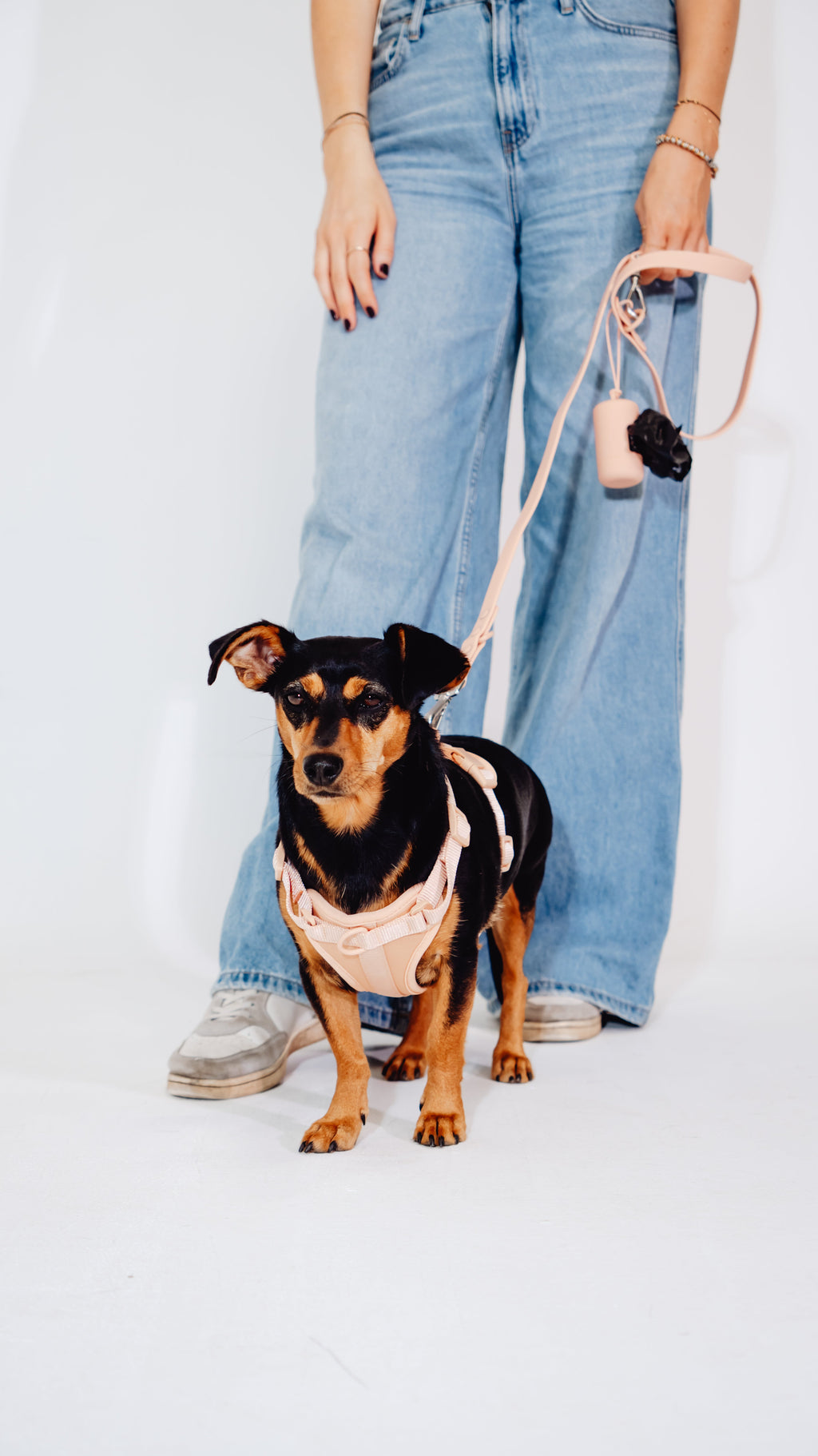 Pfirsich Velvy Dog Harness