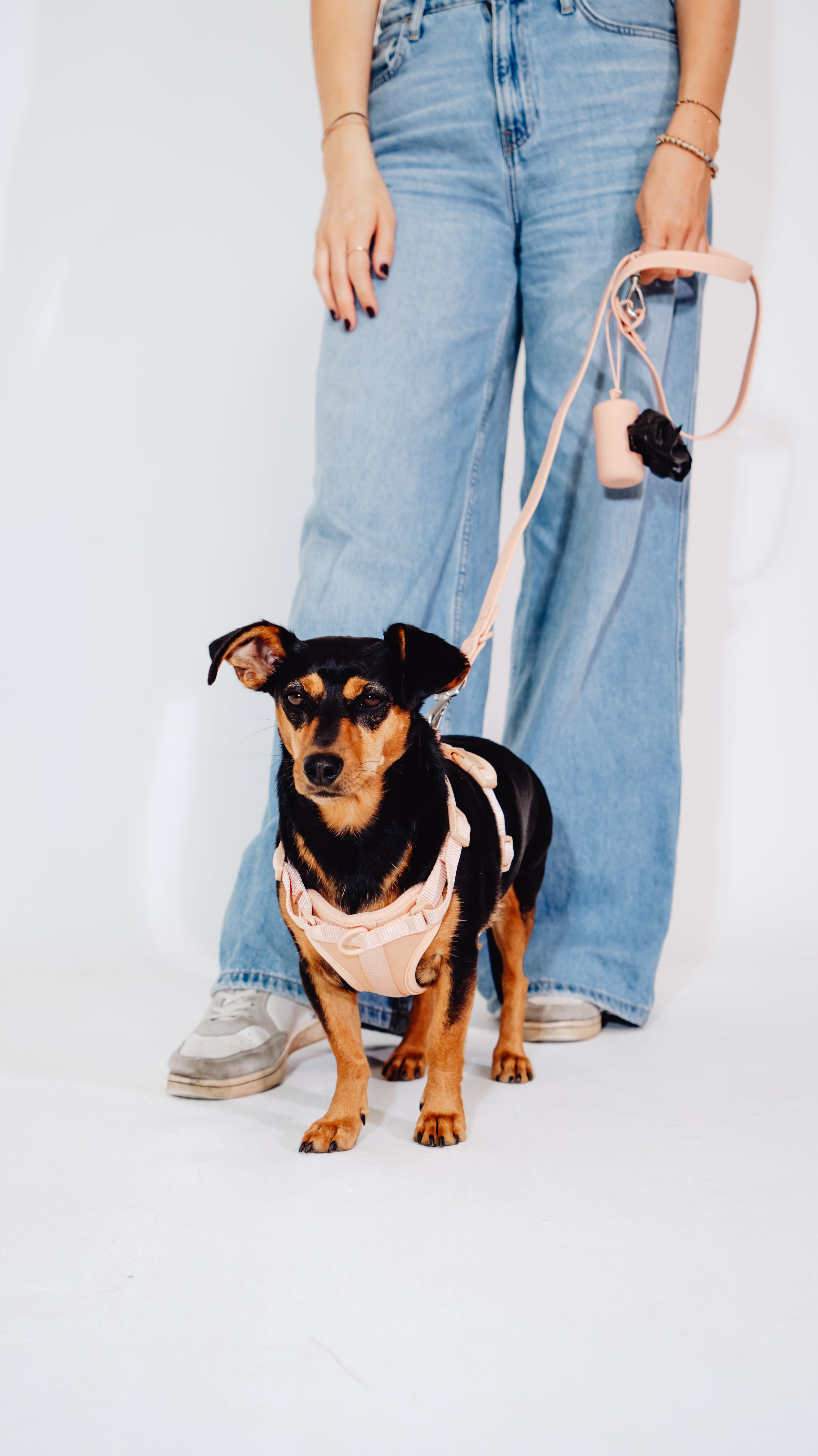 Pfirsich Velvy Dog Harness