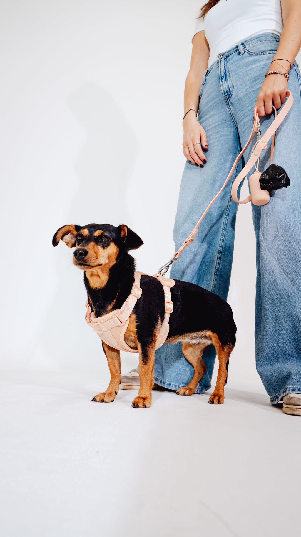 Pfirsich Velvy Dog Harness