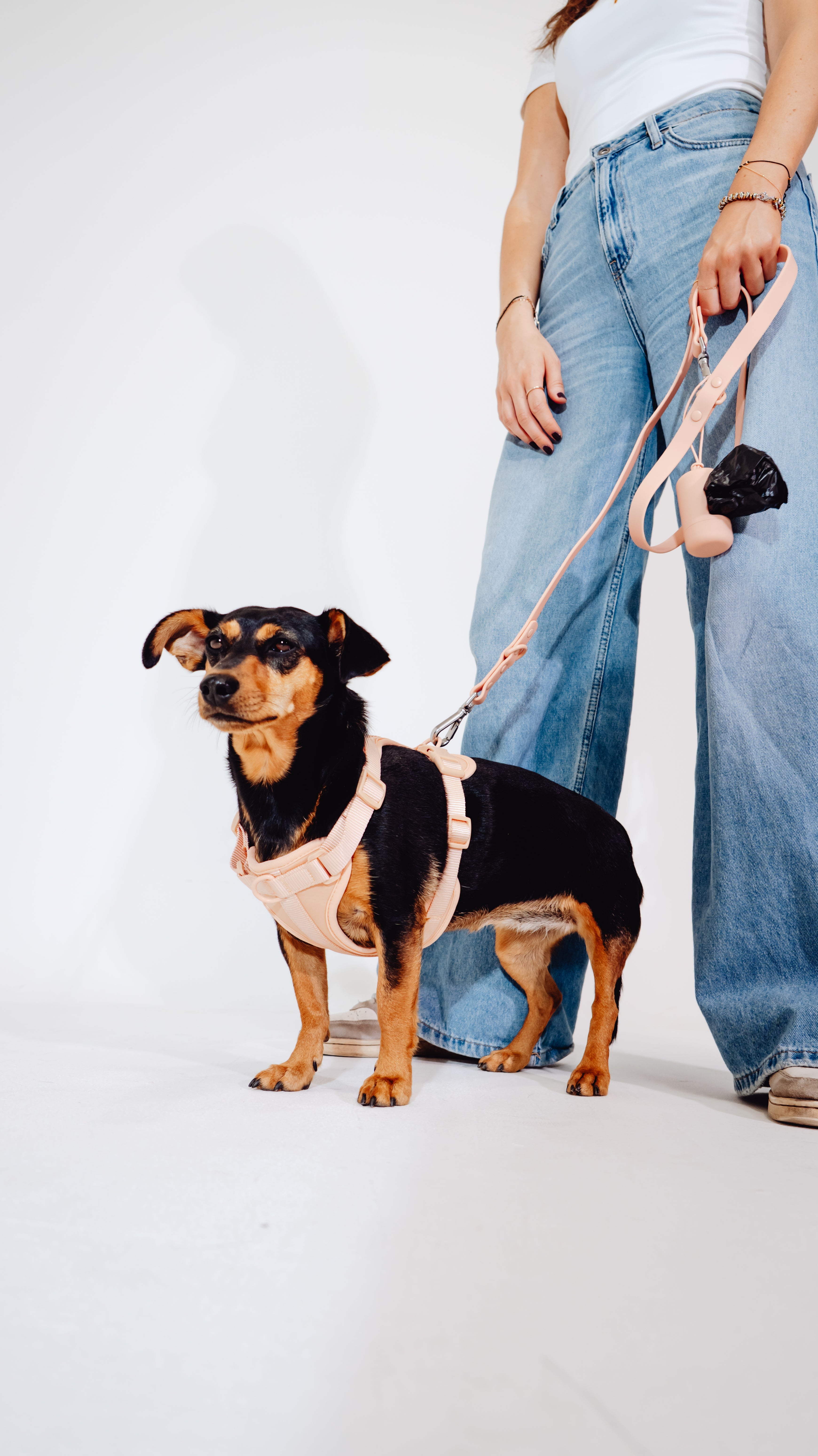Pfirsich Velvy Dog Harness