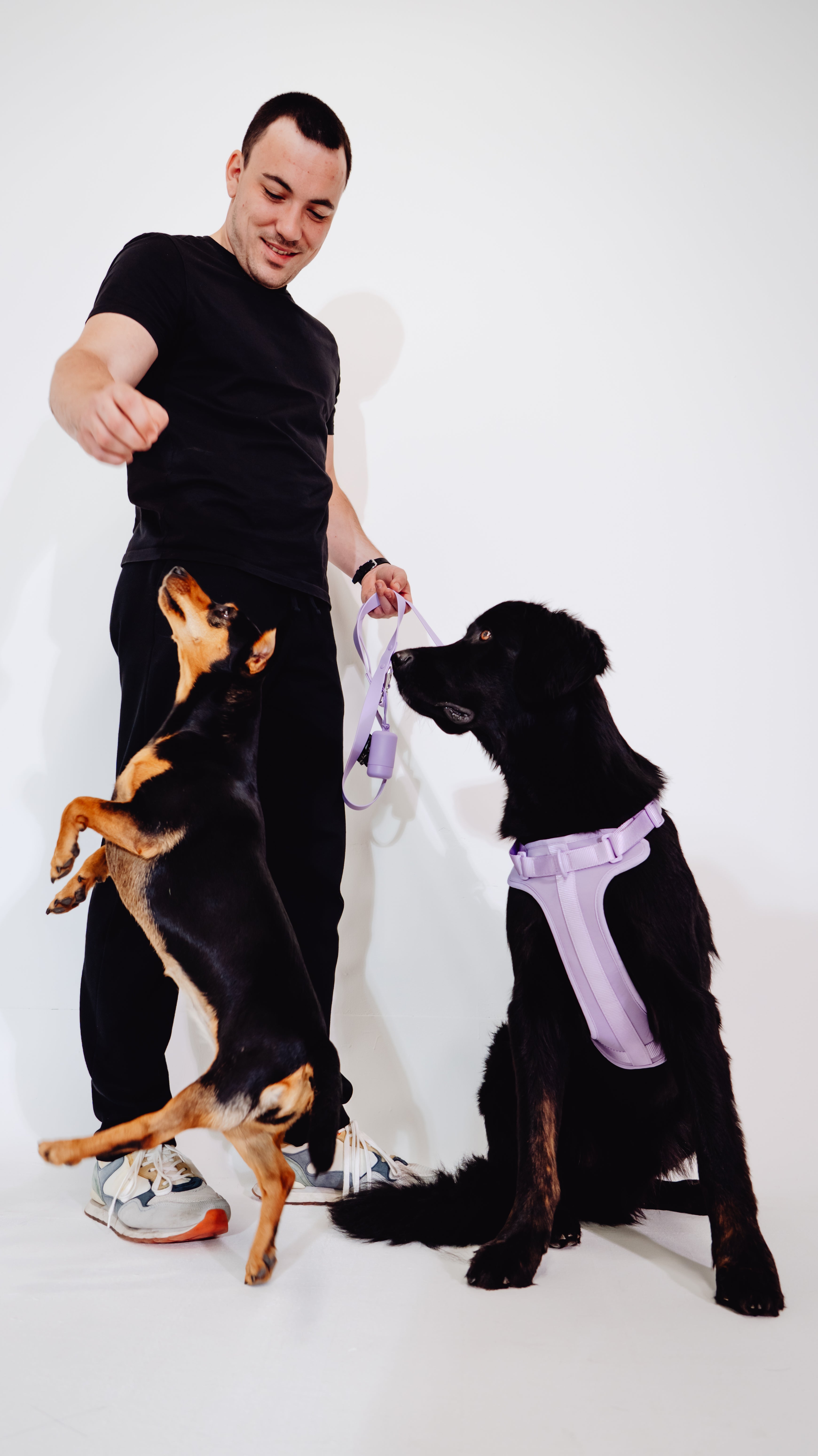 Lavendeltraum Velvy Dog Harness