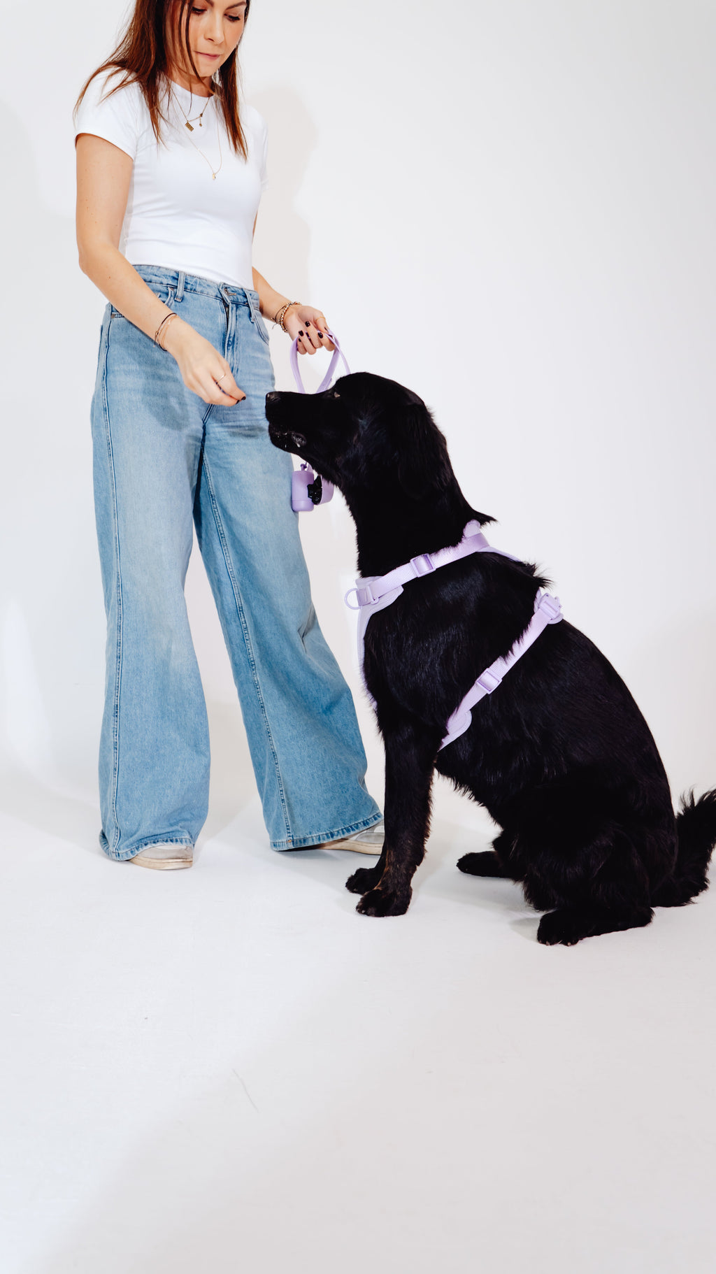 Lavendeltraum Velvy Dog Harness