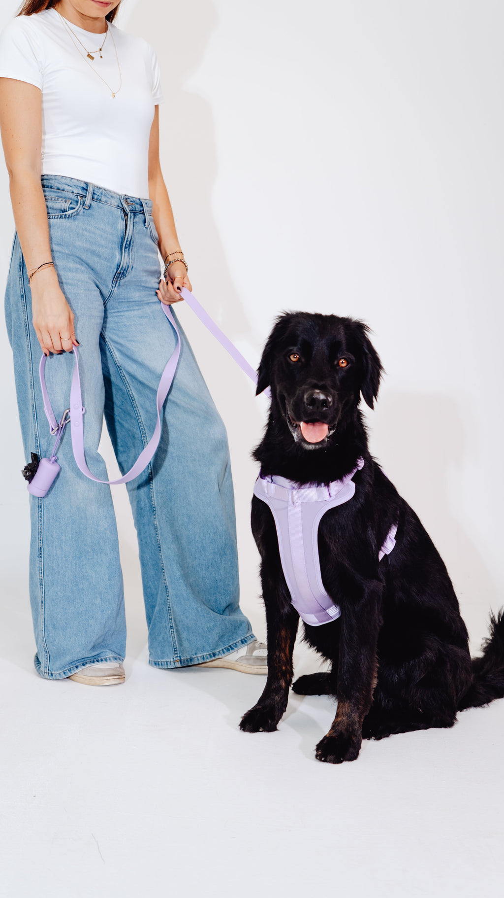 Lavendeltraum Velvy Dog Harness